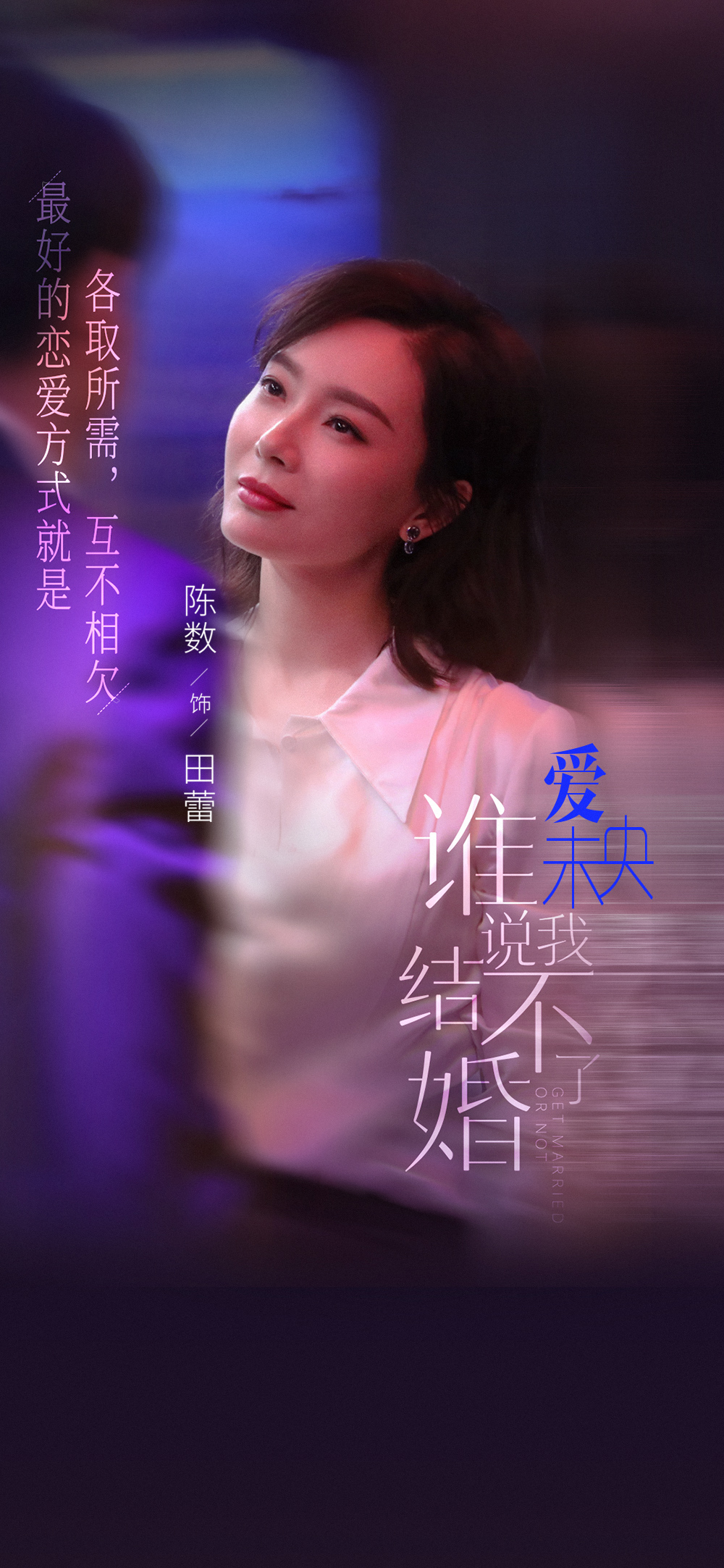 陳數圖