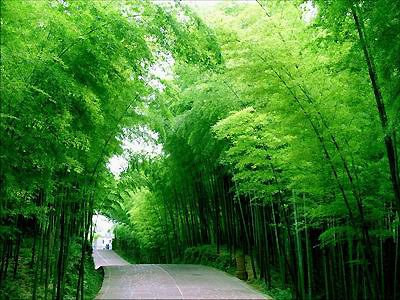 生態(tài):全力治霧霾 制度護(hù)生態(tài)