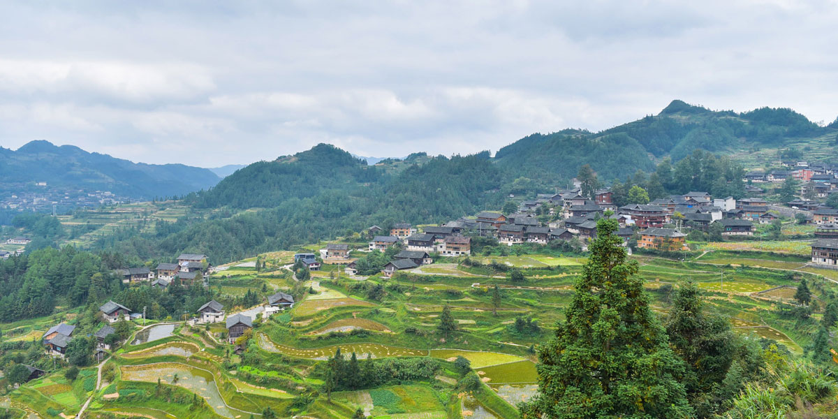 龍塘村全景