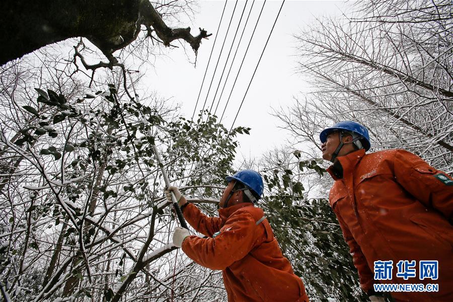 （新華全媒頭條）（8）雨雪冰凍中，他們奮力前行——基層黨員干群抗擊冰雪災害紀實