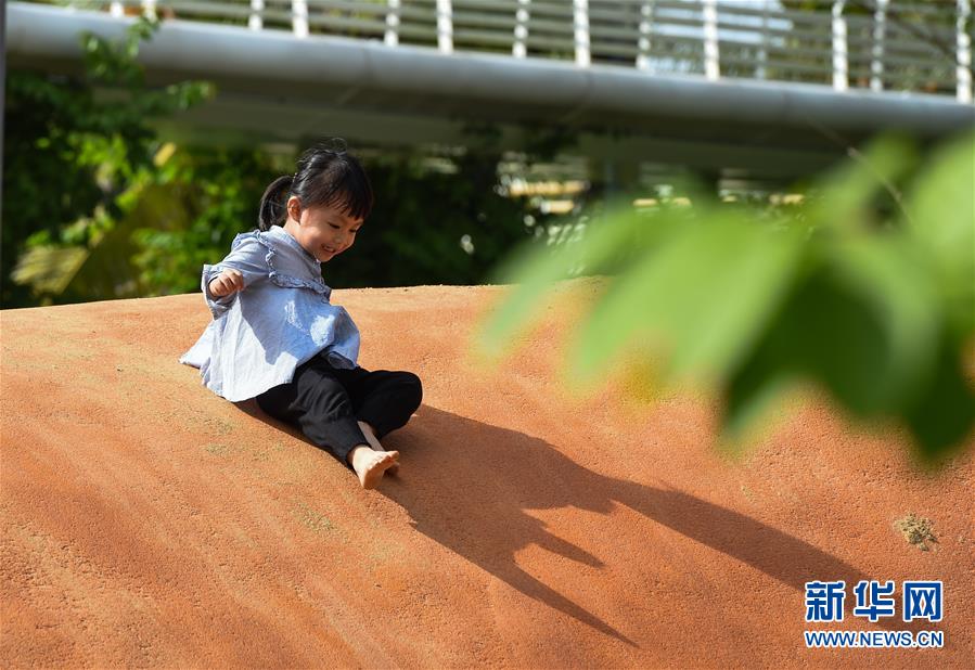 （圖文互動·百城百縣百企調研行）（3）“濕地海口”的生態文明建設實踐