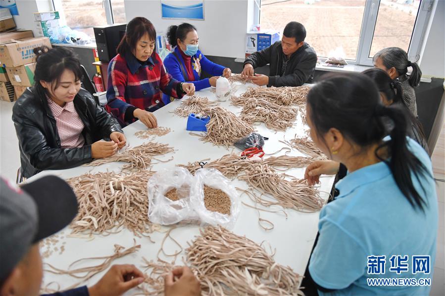 （在習近平新時代中國特色社會主義思想指引下——新時代新作為新篇章·圖文互動）（8）從資源枯竭城市到中國棉襪之鄉——吉林遼源念好民營經濟“三字經”