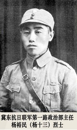 （為了民族復(fù)興·英雄烈士譜·圖文互動(dòng)）抗日愛國知識(shí)分子的典范——楊裕民