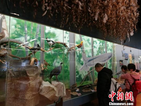 圖為展覽現場。　胡遠航 攝