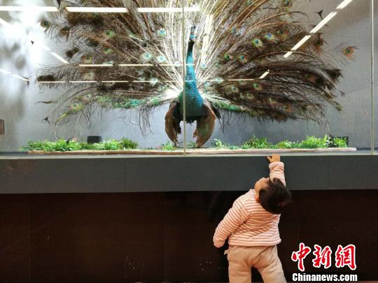 圖為展覽現場?！『h航 攝