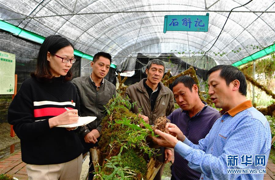 (新華全媒頭條·圖文互動)(3)全面從嚴(yán)治黨啟新局——寫在十九屆中央紀(jì)委三次全會召開之際