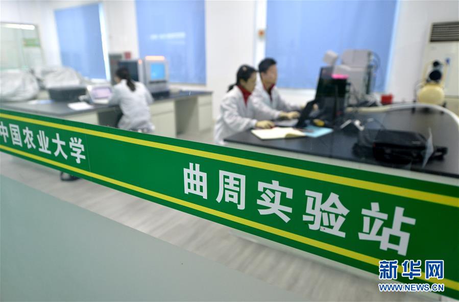 （愛國情 奮斗者·圖文互動）（3） “解民生之多艱，育天下之英才”——中國農大師生扎根田野書寫奉獻之歌