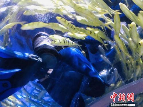 點擊進(jìn)入下一頁