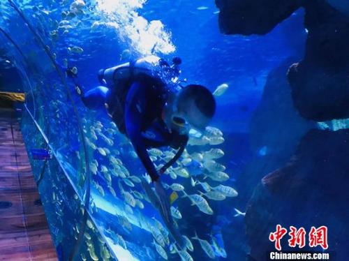 點擊進(jìn)入下一頁