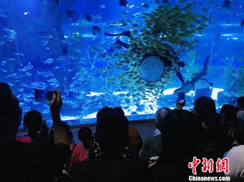 點擊進(jìn)入下一頁