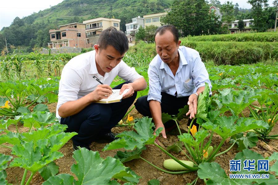 （新華全媒頭條·圖文互動）（3）咱們村里的年輕人——記奮戰在貴州脫貧攻堅一線的青年
