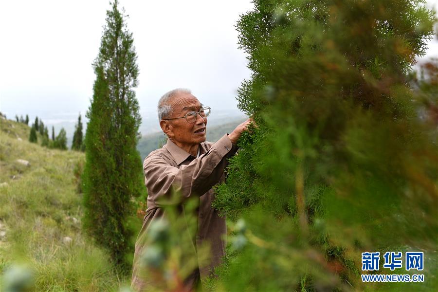 (在習近平新時代中國特色社會主義思想指引下——新時代新作為新篇章·圖文互動)(5)中條山下綠意濃——一個“資源窮縣”的生態發展之路