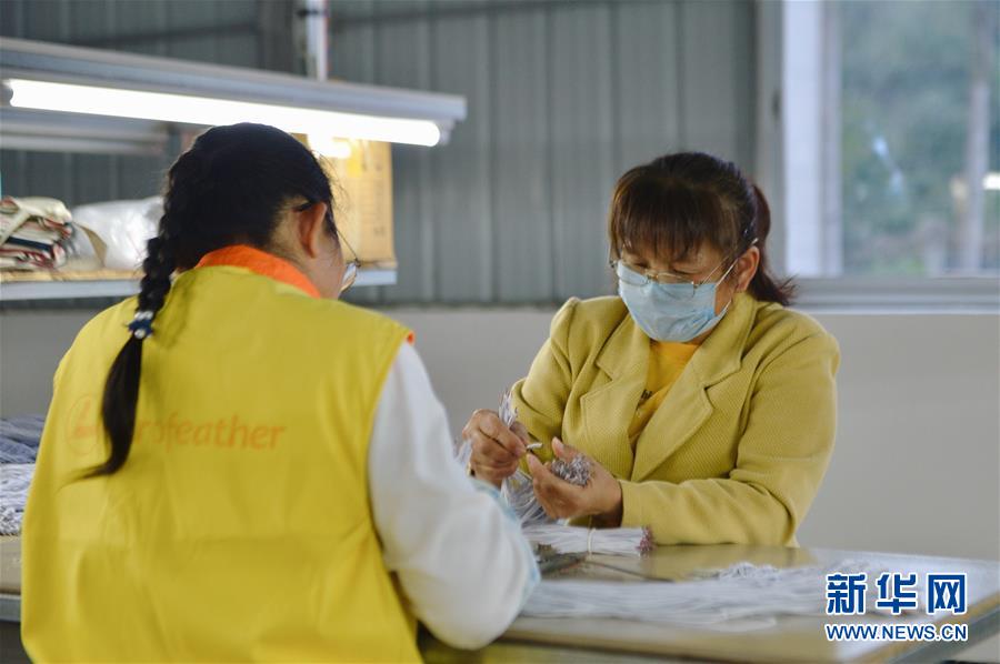 （圖文互動）（2）人回鄉、錢回流、企回遷——一個大石山區貧困縣的返鄉創業故事 