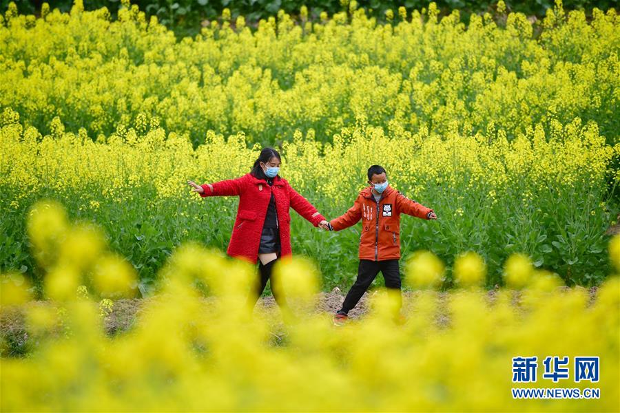 （決戰決勝脫貧攻堅·圖文互動）（4）特寫：疫情下的一堂特殊送教上門課