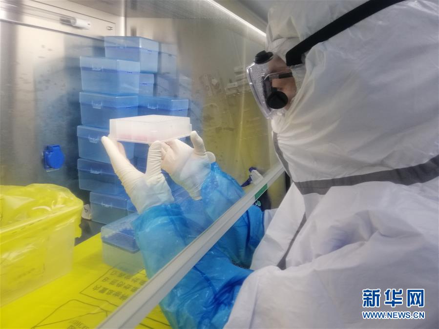 （一線抗疫群英譜·圖文互動）（2）“95后”大學生郝鶯歌：退掉車票，她選擇直面病毒