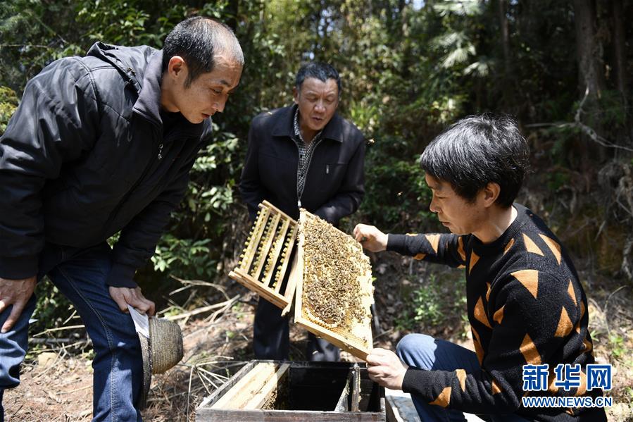 （決戰決勝脫貧攻堅·圖文互動）（5）一位農民的產業扶貧成績單 