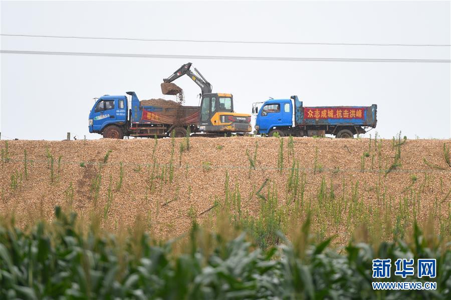 （防汛抗洪·圖文互動）（4）“險情不可怕，可怕的是不能及時發現險情”——洞庭湖巡堤查險現場直擊