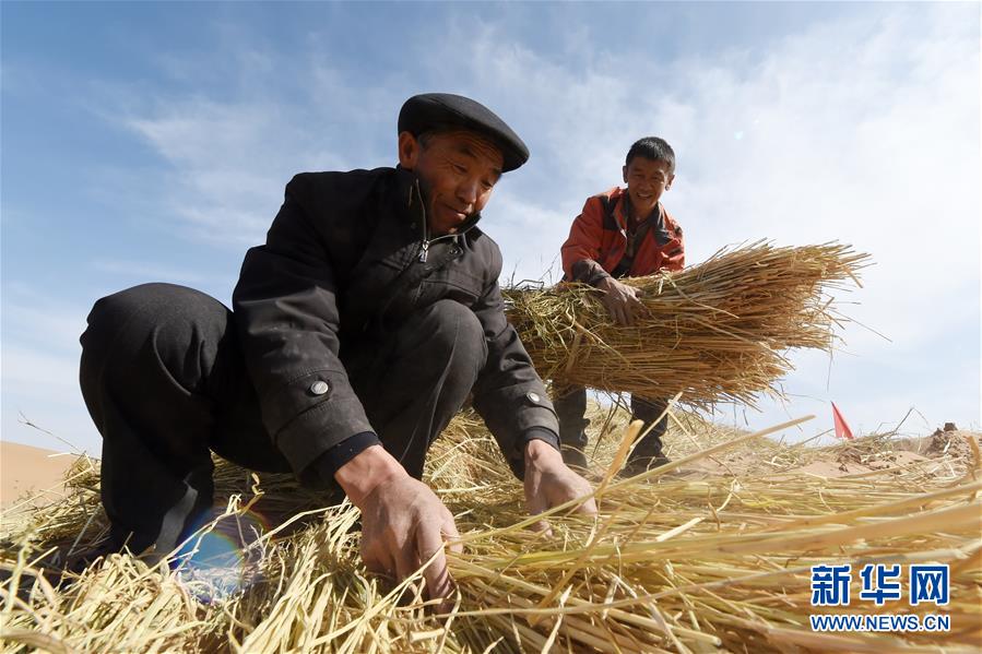 （在習近平新時代中國特色社會主義思想指引下——新時代新作為新篇章·習近平總書記關切事·圖文互動）（5）綠色映底蘊，山水見初心——生態優先、綠色發展持續造福群眾美好生活