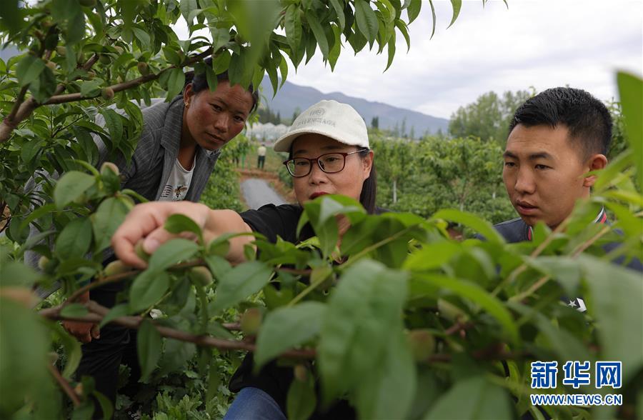 （決戰決勝脫貧攻堅·督戰未摘帽貧困縣·圖文互動）（3）12000多個“火種”點亮大涼山