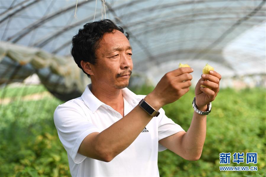 （新華全媒頭條·走向我們的小康生活·圖文互動）（7）黑土地上是我家——在吉林，一瞥中國東北鄉(xiāng)村美麗未來