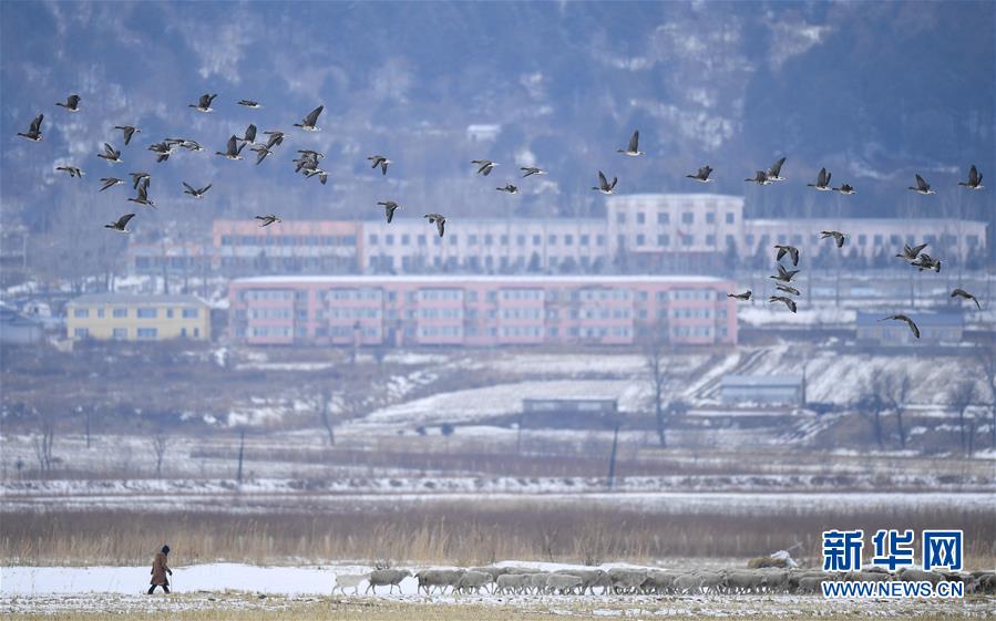（新華全媒頭條·走向我們的小康生活·圖文互動）（14）黑土地上是我家——在吉林，一瞥中國東北鄉(xiāng)村美麗未來