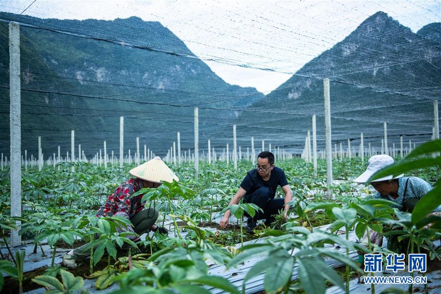 （新華全媒頭條·決戰決勝脫貧攻堅·督戰未摘帽貧困縣·圖文互動）（10）把“最能打的人”放在最需要的地方——聚焦貴州未脫貧縣里的“助攻干部”