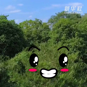 微信分享圖