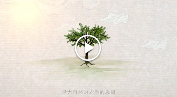 綠色發展：書寫在中國大地上的美麗畫卷