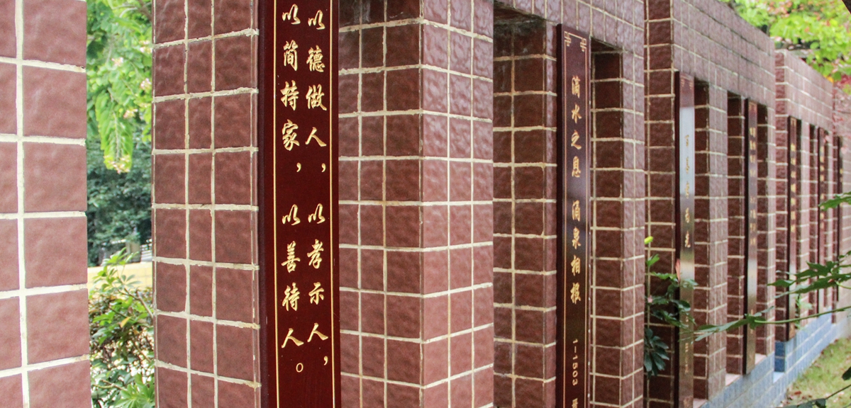 幸福感就藏在細節里——四川綿陽韓家脊社區的美好生活探索