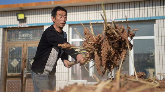 內蒙古奈曼旗互利村闖出產業致富之路