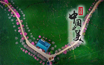 江山如畫，想把春的故事講給你聽(tīng)