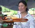 蘆山七日祭:傷過(guò)留痕希望不滅