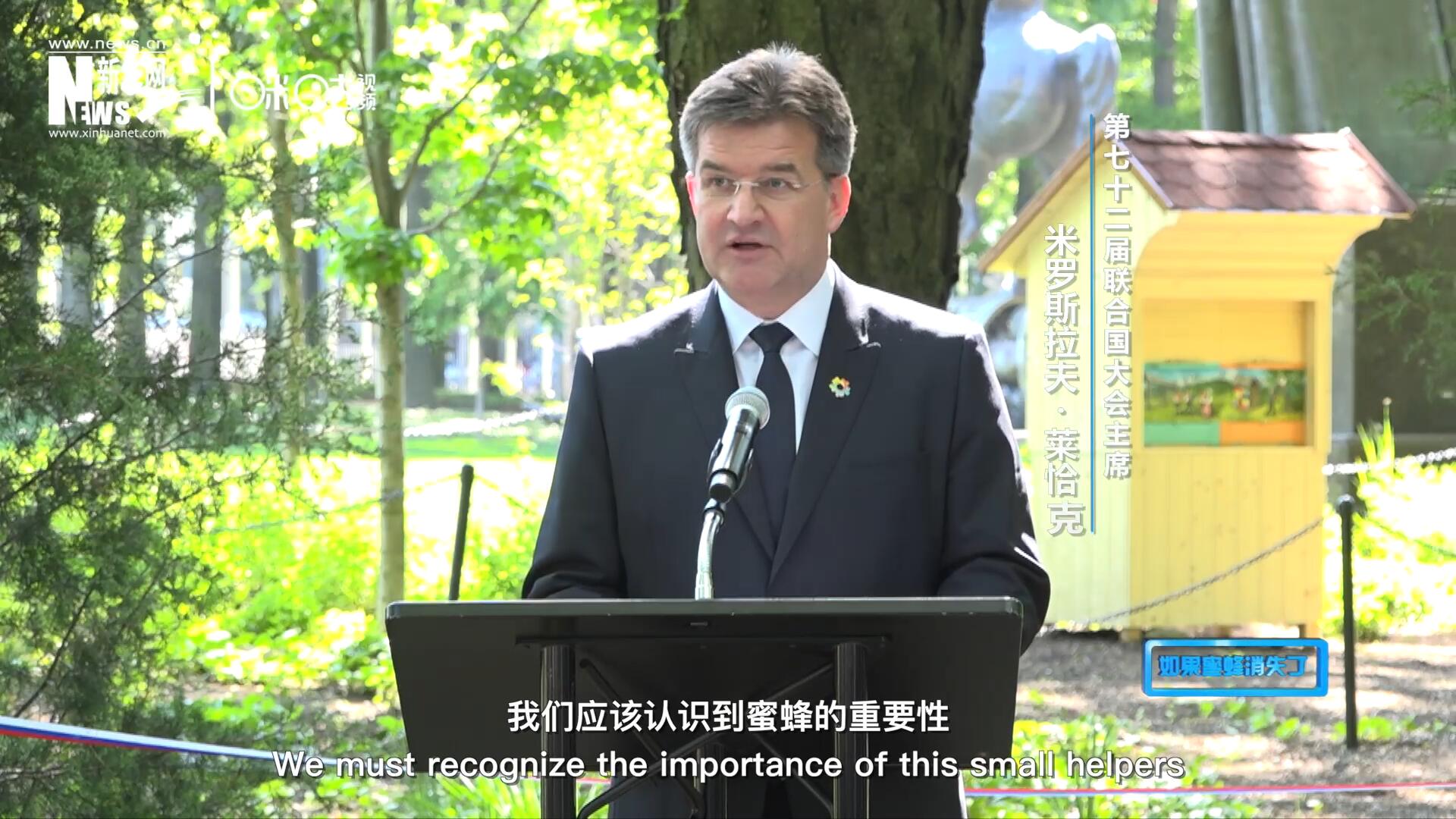 我們應該認識到蜜蜂的重要性，所以我們用“世界蜜蜂日”提高大家保護蜜蜂的意識，并且用實際行動去保護蜜蜂
