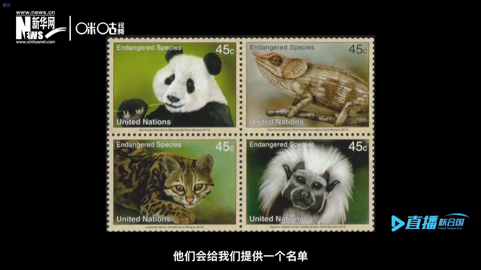 CITES（瀕危野生動植物種國際貿易公約）會給聯合國郵政設計師提供一個名單，雙方共同合作在附錄中找到名單中應該受到關注的動物。