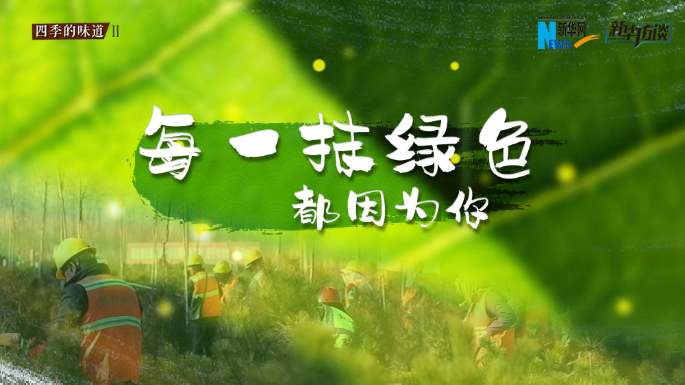千年秀林，每一抹綠色都因為你