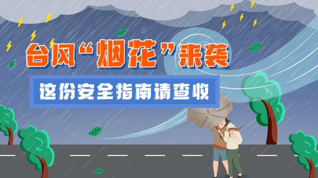 MG動畫：臺風(fēng)“煙花”來襲，這份安全指南請查收