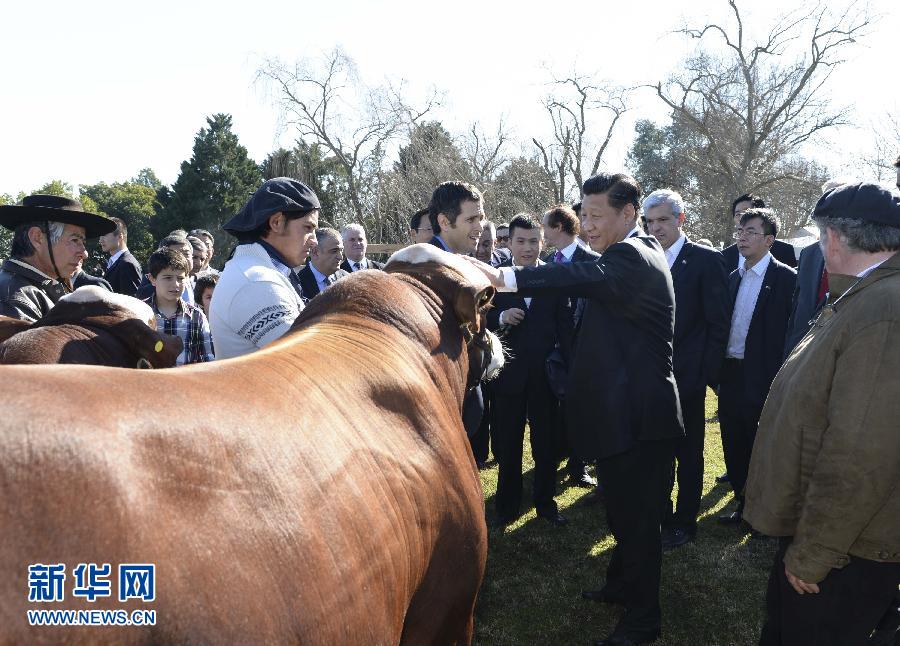 當地時間7月19日，正在對阿根廷進行國事訪問的國家主席習近平參觀共和國莊園，考察阿根廷農牧業，了解阿根廷農牧民文化特色。新華社記者馬占成攝 