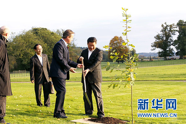 兩國領(lǐng)導(dǎo)人一同在別墅草坪，共同種下象征中英友誼的橡樹。新華社記者 鞠鵬 攝