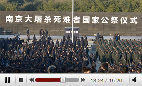 視頻回放