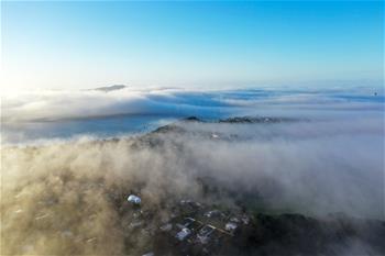奧克蘭大霧彌漫