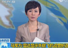 馬軍方稱雷達顯示失聯飛機或曾折返